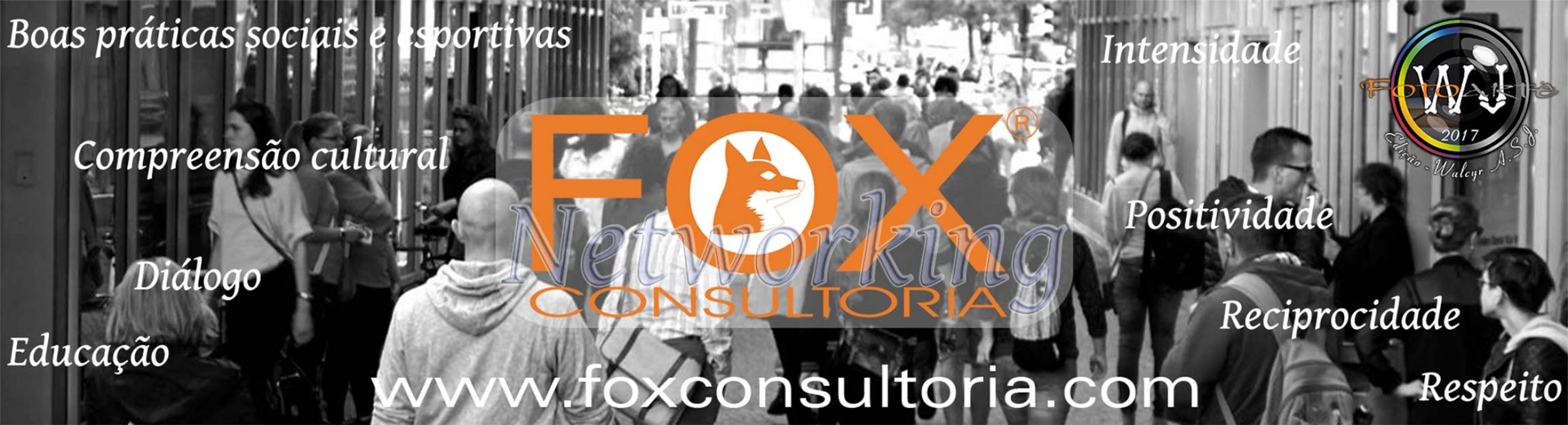 FOX Consultoria